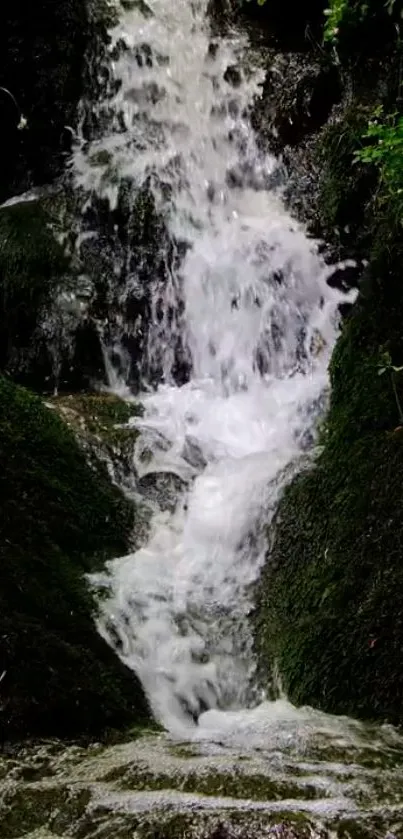 Cascading waterfall with dark green foliage background.