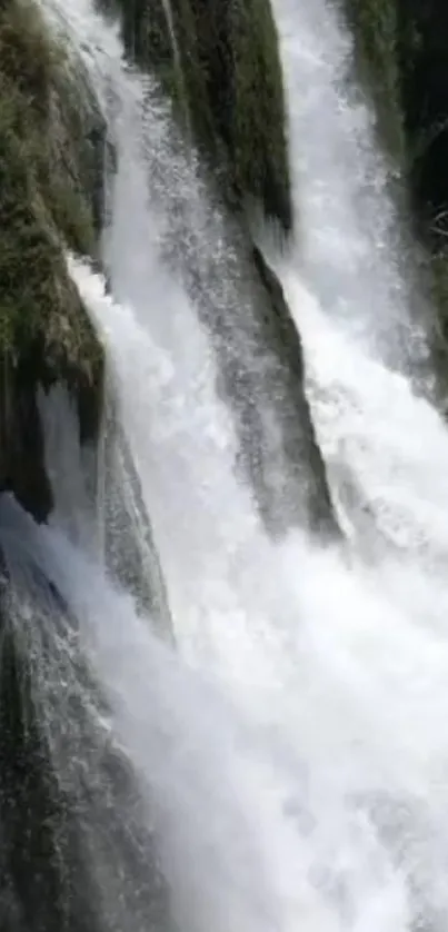 Cascading waterfall with lush green backdrop.