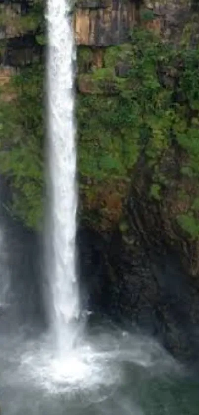 Stunning waterfall amid lush greenery, perfect for mobile wallpaper.