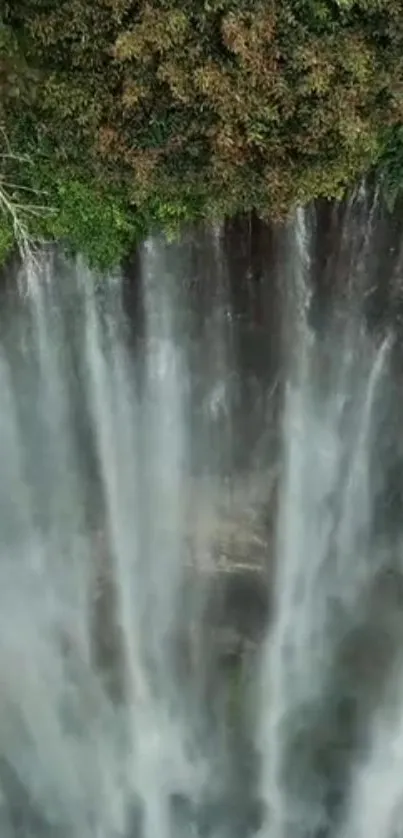 Waterfall cascading with lush green foliage in mobile wallpaper.