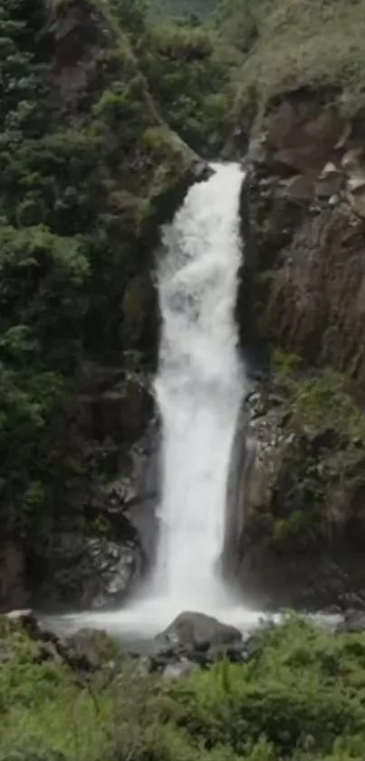 Tranquil waterfall surrounded by lush greenery.