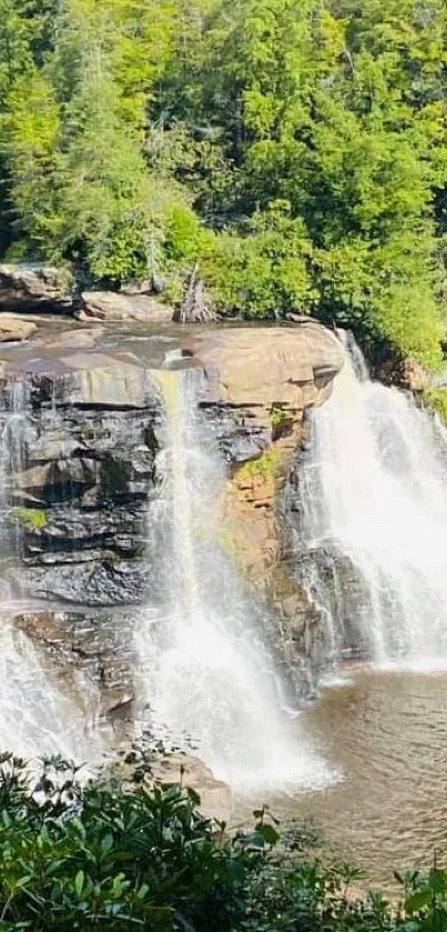 Serene waterfall cascading in lush green forest, perfect for wallpaper.