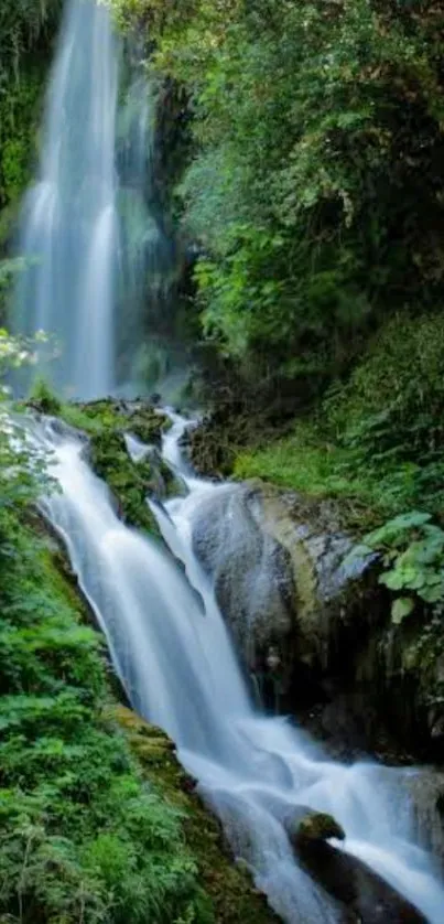 Serene waterfall with lush greenery and flowing water in a forest setting.