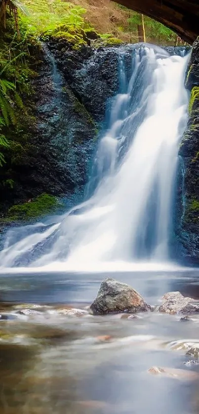 Serene waterfall in lush green forest wallpaper.