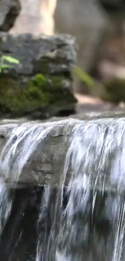 Serene waterfall over rocks with lush green moss.