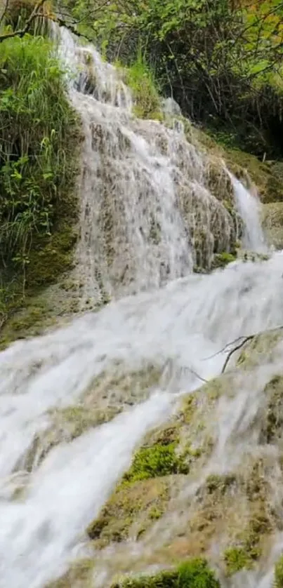 Serene waterfall amidst lush greenery wallpaper.