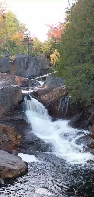 Serene forest waterfall with autumn colors and cascading waters.