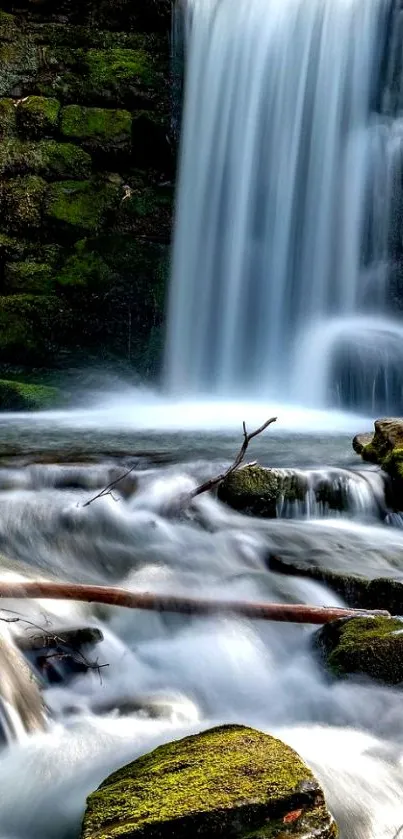 Serene forest waterfall with mossy rocks.