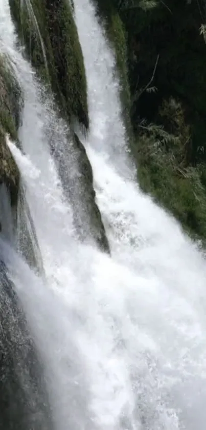 Serene waterfall with lush greenery cascading down rocks.