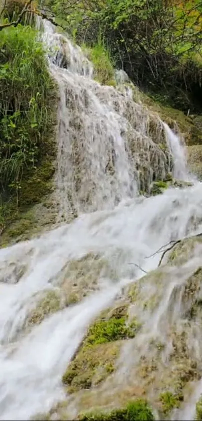 Serene waterfall cascading over mossy rocks in a lush green forest.