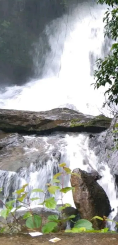 Serene waterfall with lush greenery and cascading water.