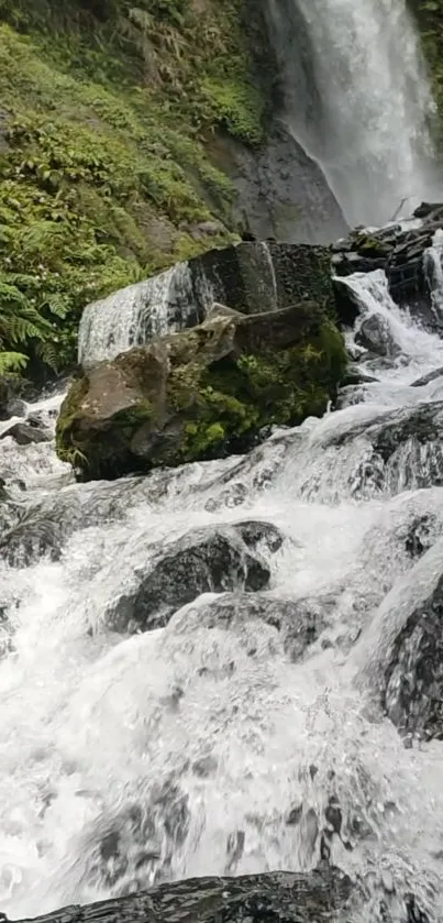 Majestic waterfall with lush greenery and rocks.