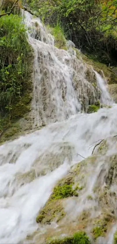 Serene waterfall in lush green forest landscape.