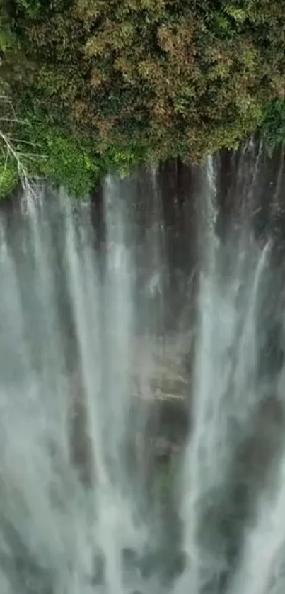 Serene waterfall cascading through lush forest greenery.