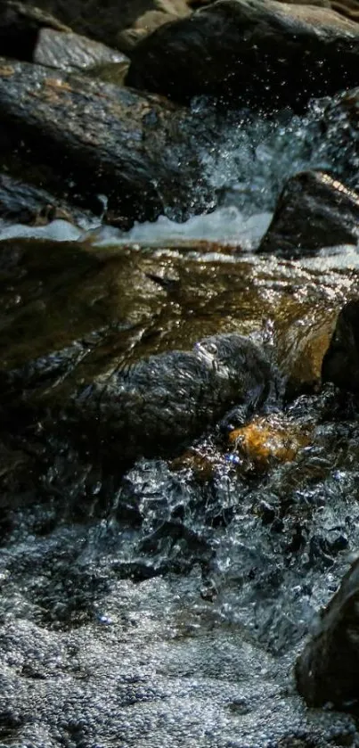 Cascading waterfall over rocks in a serene natural setting.