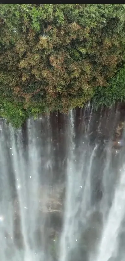 Waterfall cascading through lush green forest.