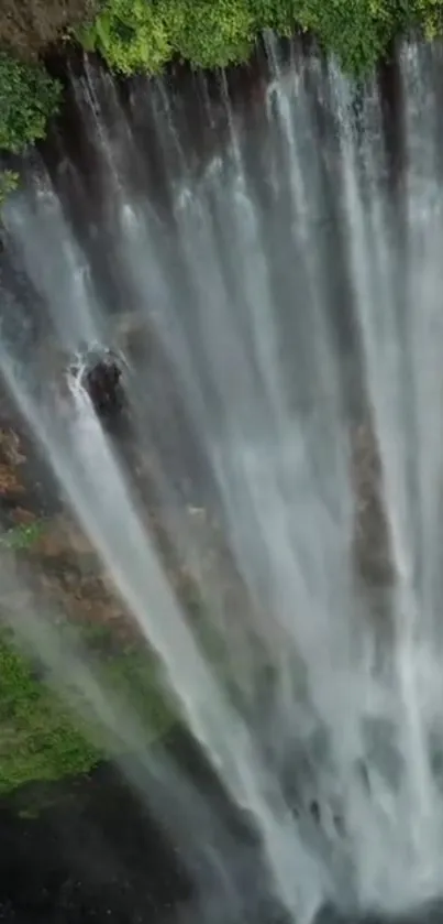 Waterfall with lush green foliage on a mobile wallpaper background.