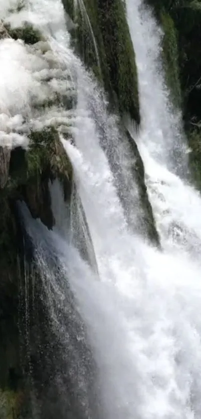 Majestic waterfall cascading through lush greenery, perfect for mobile wallpaper.