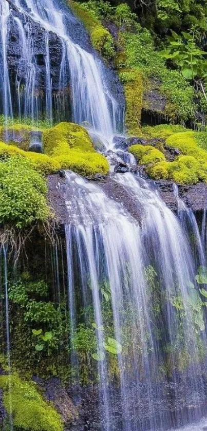 Serene waterfall amidst lush green foliage wallpaper.