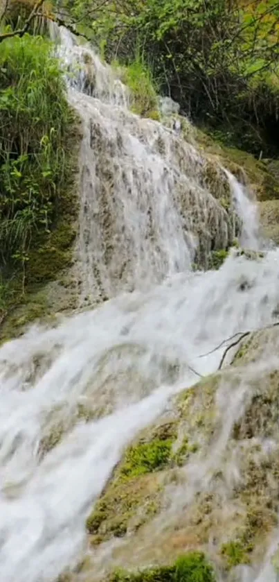 Serene waterfall with lush green surroundings and cascading water.