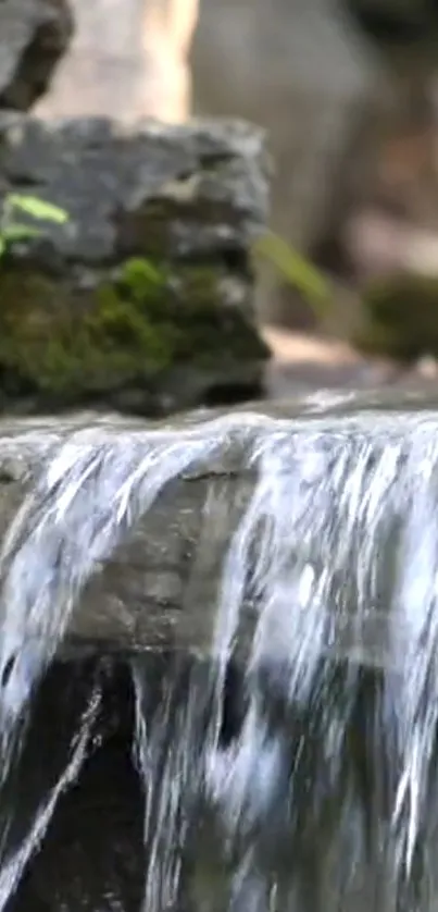 Serene waterfall over mossy rocks mobile wallpaper.