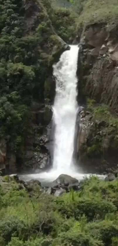 Serene waterfall amidst lush greenery in nature.