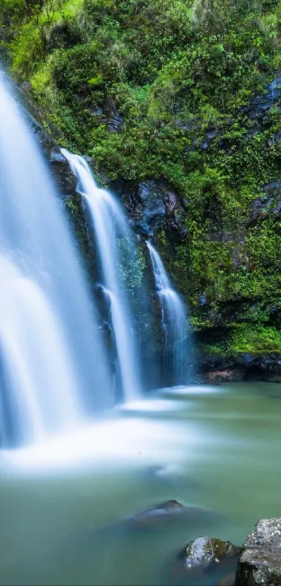 Waterfall with lush green surroundings for mobile wallpaper.