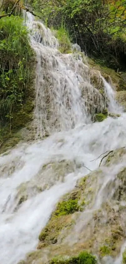 A serene waterfall in a lush green forest.