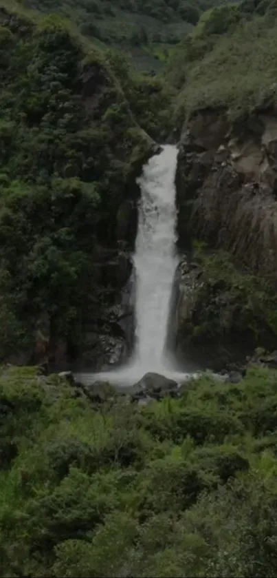 Serene waterfall surrounded by lush greenery.