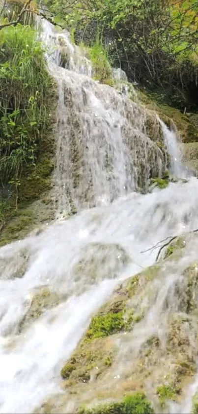 Beautiful waterfall cascading over green moss.