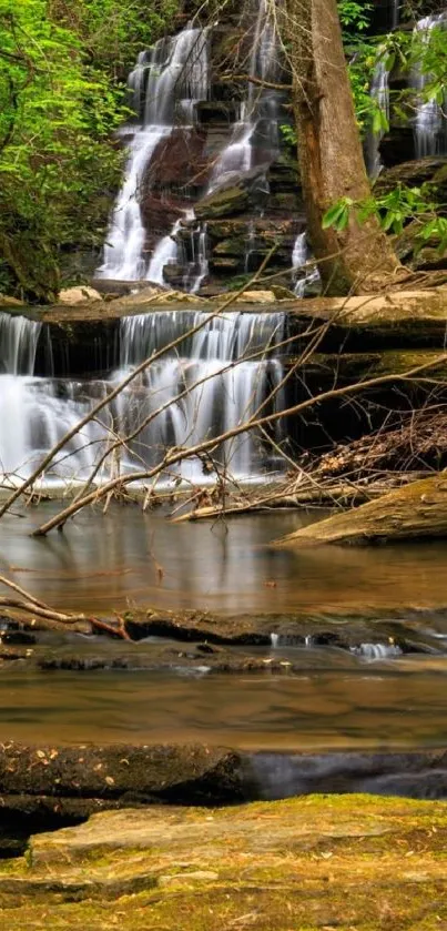 Serene forest waterfall with lush greenery.