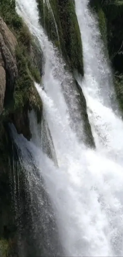 Serene waterfall surrounded by lush greenery cascading down rocks.