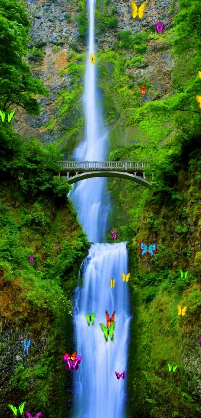 Serene waterfall cascading over rocks amid lush greenery.