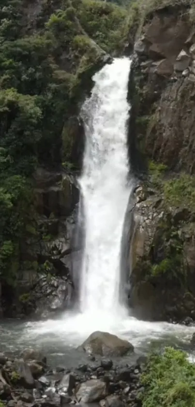 Waterfall surrounded by lush greenery in a serene natural setting.