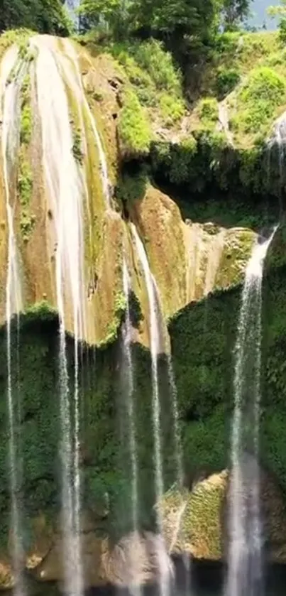 Lush green cliff with cascading waterfall scene.