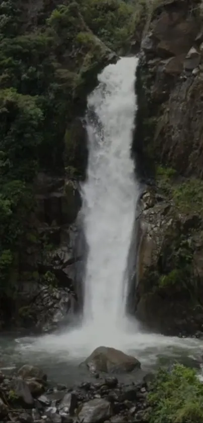 Serene waterfall in lush green forest.