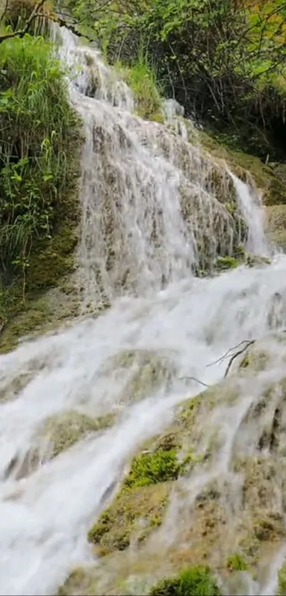 Serene waterfall over mossy rocks with lush green foliage.