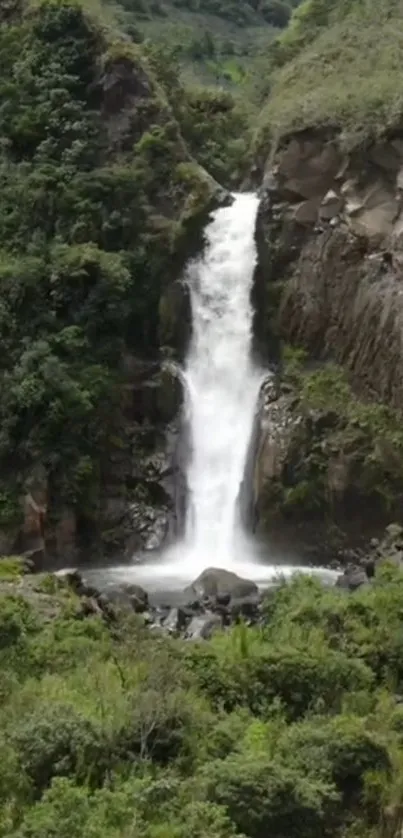 A serene waterfall flowing through lush green forests.