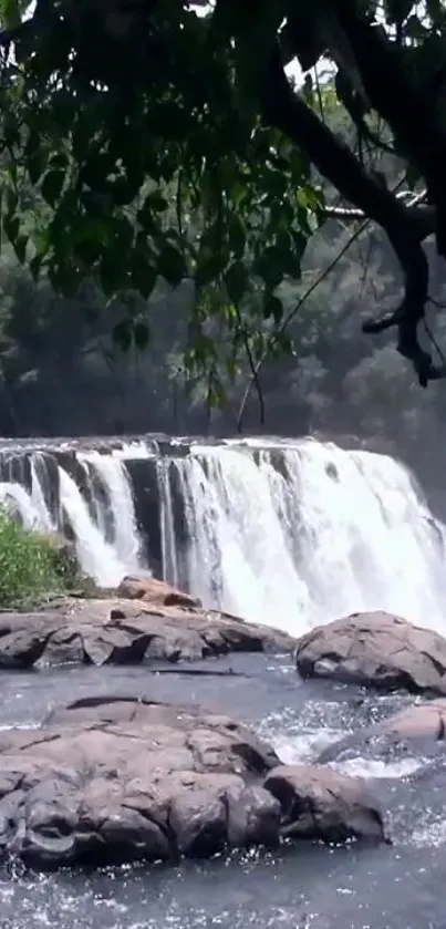 Serene waterfall surrounded by lush greenery and rocky foreground.