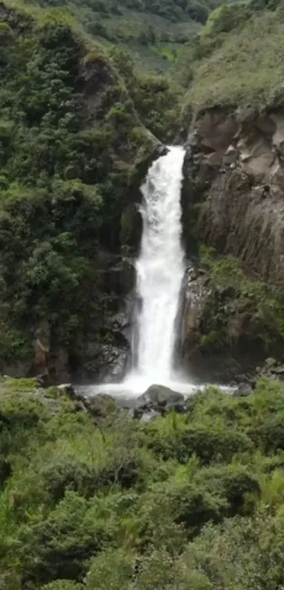 Lush green scenery with a waterfall cascade.