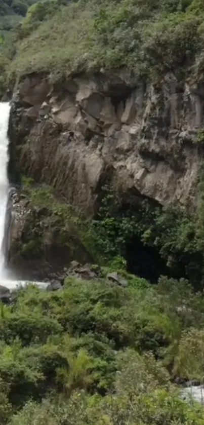 Serene waterfall with lush greenery.