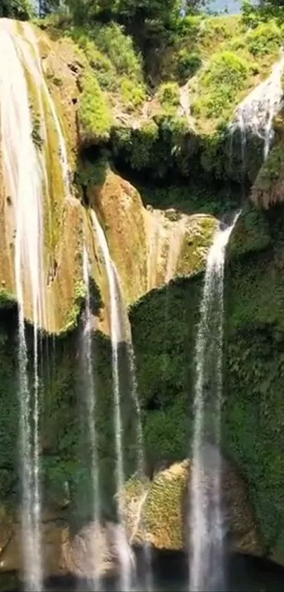 A lush green waterfall in a forest setting.