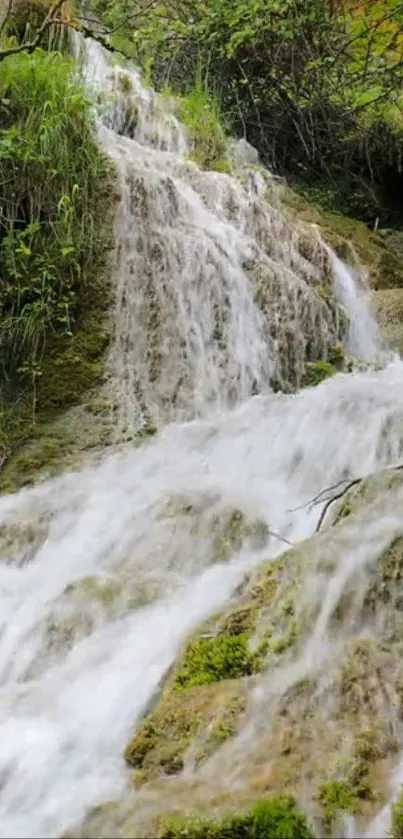 A serene waterfall cascading over lush green moss.