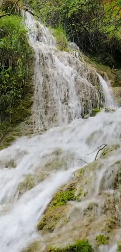 Waterfall flowing over mossy rocks and greenery in nature.