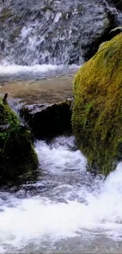 Serene waterfall with lush green moss and flowing water in a natural landscape.