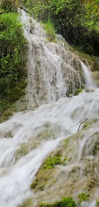 Serene waterfall with lush greenery background.