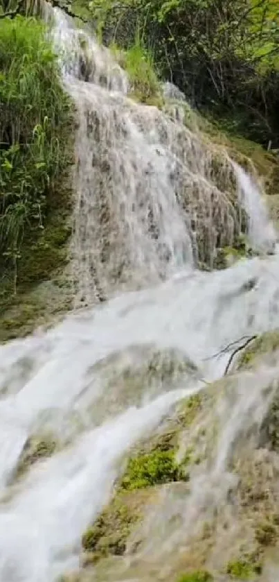 Serene waterfall flowing through lush greenery in nature.