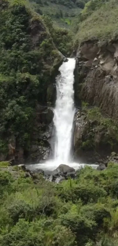 Waterfall cascading in lush green landscape.