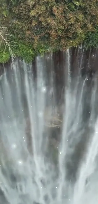 Serene waterfall cascading over lush green forest.