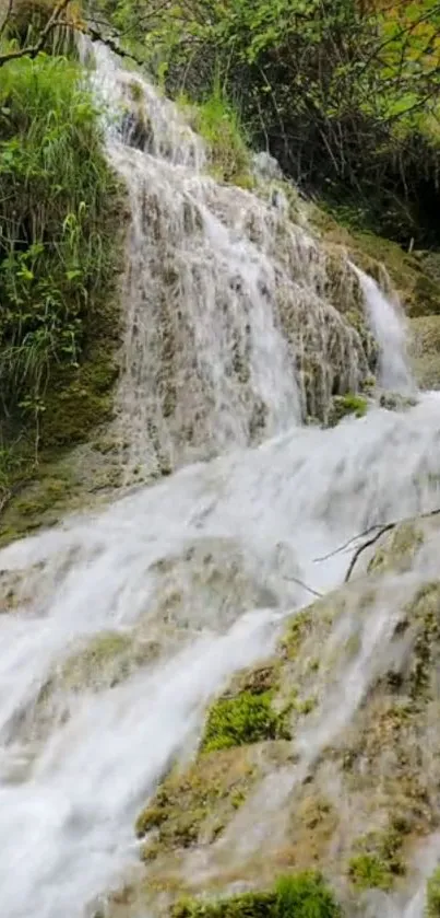 Serene waterfall with lush greenery, perfect for tranquil mobile wallpaper.